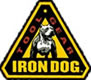 Iron Dog